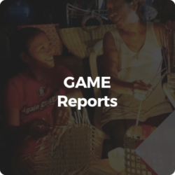GAME Report Icon