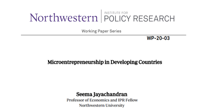 Report_Microentrepreneurship (1)