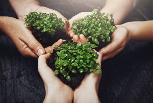 Climate Kranti - Green Entrepreneurship1
